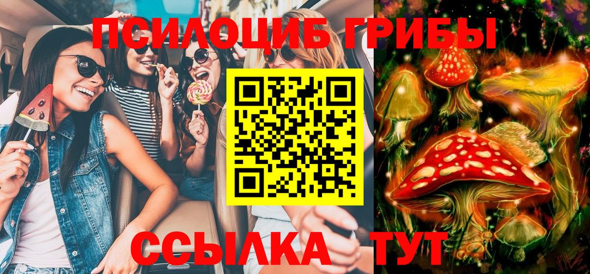 Галлюциногенные грибы прущие грибы  Вход с VPN  Дмитров 