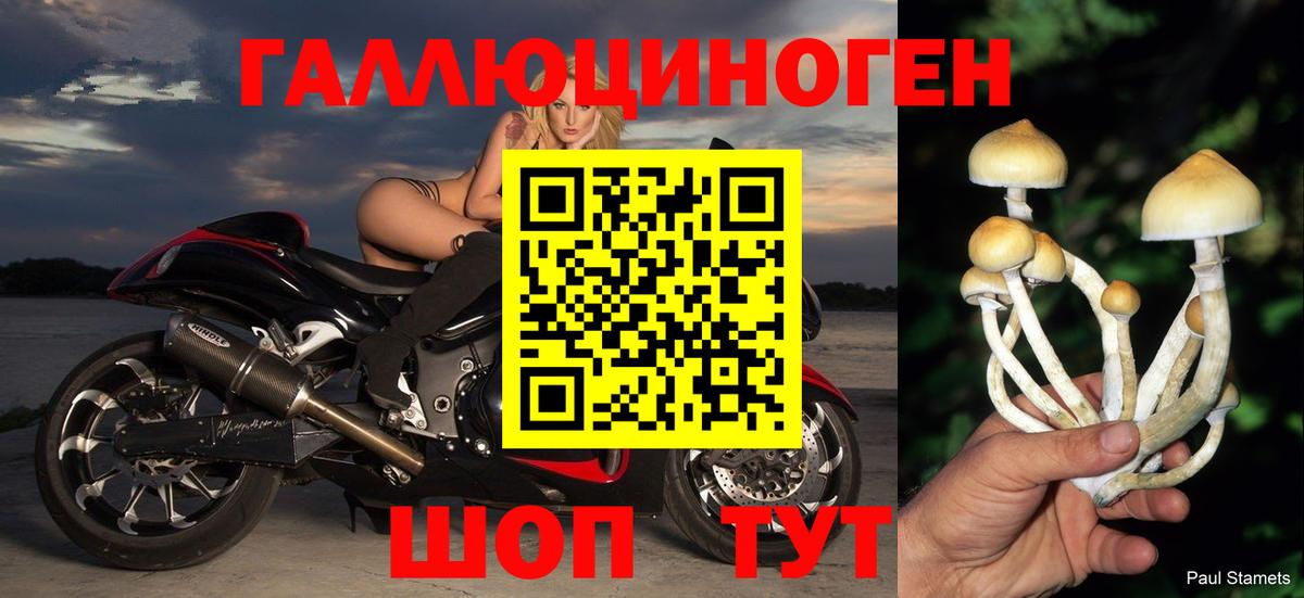 Псилоцибиновые грибы мицелий Дмитров